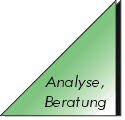 Analyse & Beratung